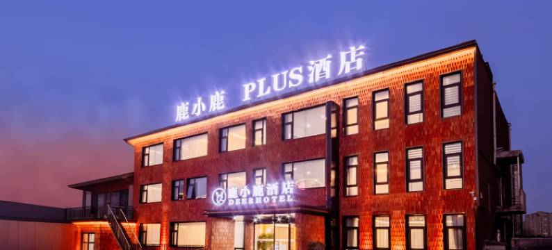鹿小鹿PLUS酒店(宝龙城市广场店)图片