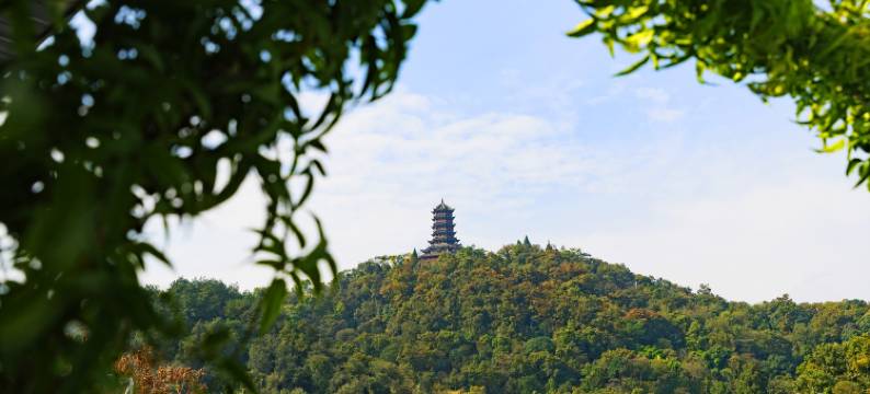 丽麦酒店(都江堰景区灌县古城店)图片
