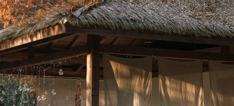 大乐之野·勿舍(宁波店)图片