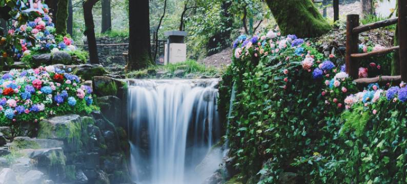 云丘山康家坪民宿图片