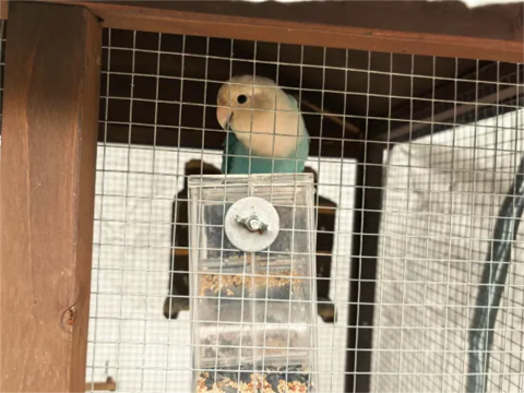 青墨山隐·半山·Haven小墅(景德镇三宝国际陶艺村店)图片