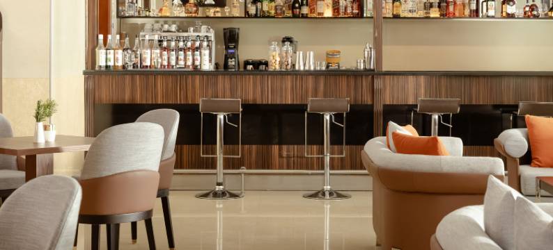 让斯温德姆华美达广场酒店(Ramada Plaza by Wyndham Gence)图片