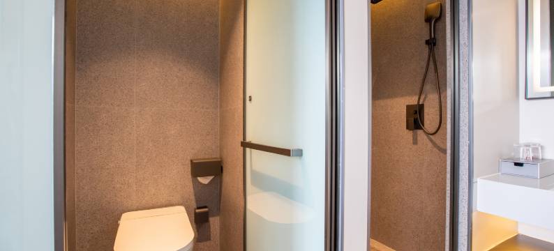 天润智享酒店(大理高铁站洱海公园店)图片