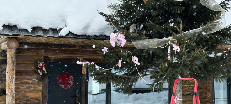 鹏游山居·弥野秘境Villa(白哈巴村店)图片