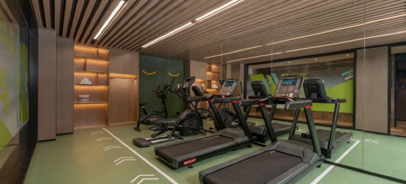 北京大兴星光影视园假日酒店图片