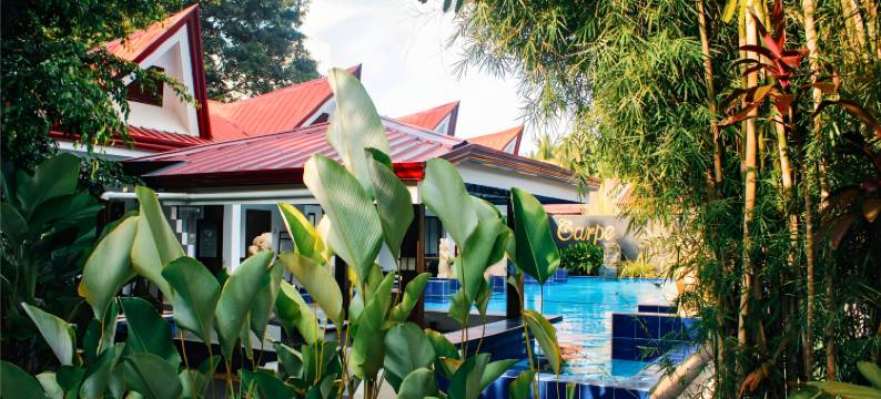 Carpe Diem Villas & Resort 潜水及住宿度假村(Carpe Diem Villas & Resort)图片