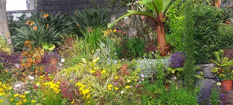 多姆佩德罗-加拉若(Dom Pedro Garajau)图片