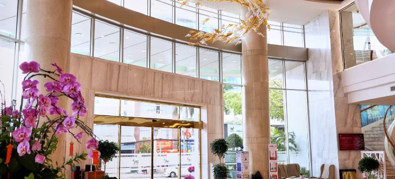 TTC酒店– Michelia(TTC Hotel - Michelia)图片