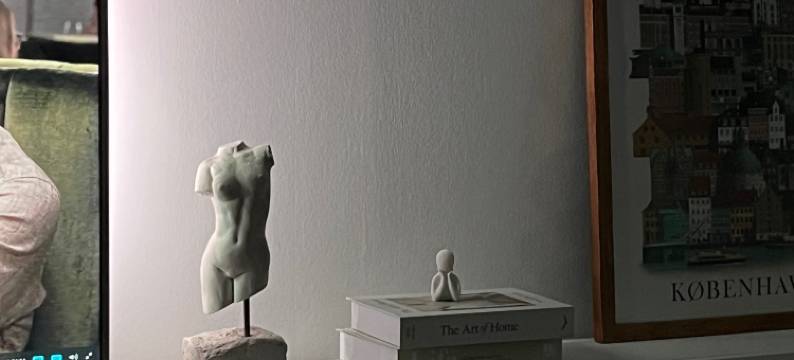 Vejle Central & river view & free parking图片