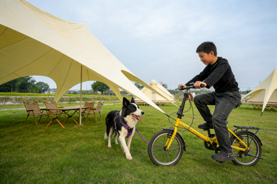 里苑·稻香碉楼精品人文民宿(立园景区店)图片