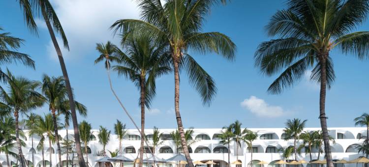 苏梅查汶萨拉海滩度假村(SALA Samui Chaweng Beach Resort)图片