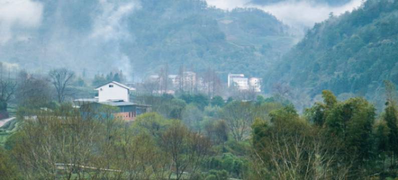 武夷山山栖谷隐民宿(奇丹茶庄园店)图片