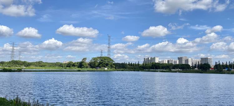 东莞稻乡喜舍酒店图片