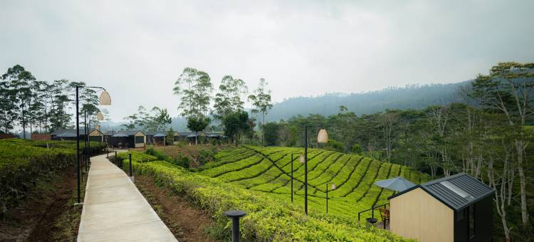 Bobocabin Pangalengan, 万隆(Bobocabin Pangalengan)图片