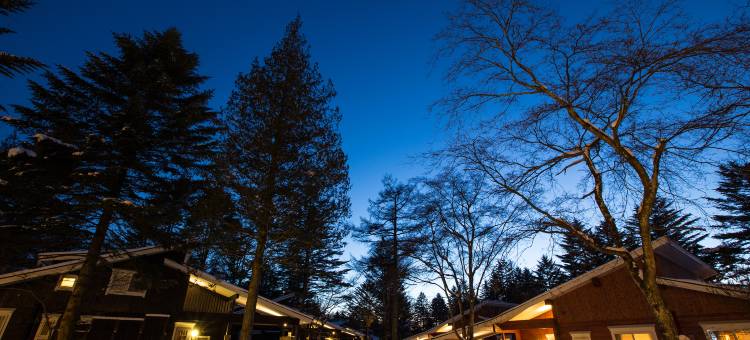 露樱酒店-信浓大町站前店(Hotel Route-Inn Shinano Omachi Ekimae)图片