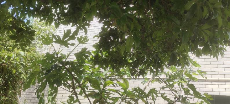 无锡尚佳民宿图片