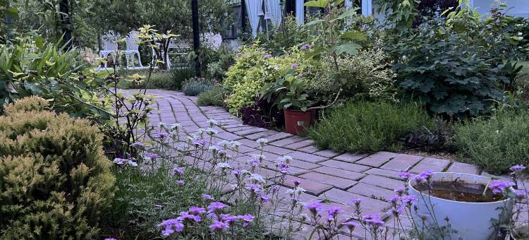 那无忧酒店图片