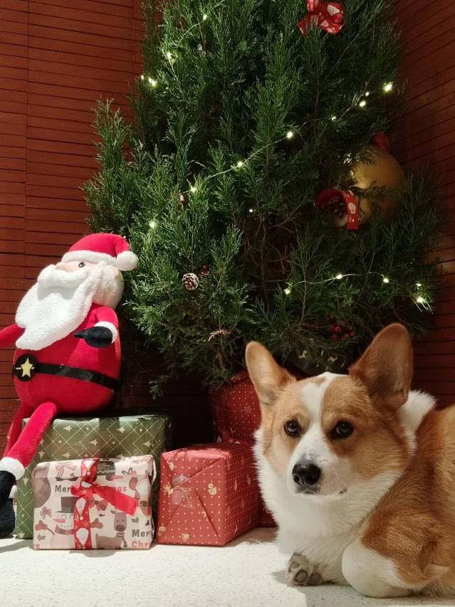 九华山香榭 ·里花园民宿(肉身宝殿店)图片