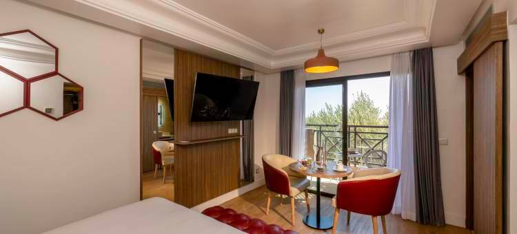 Barceló Palmeraie Oasis Resort图片