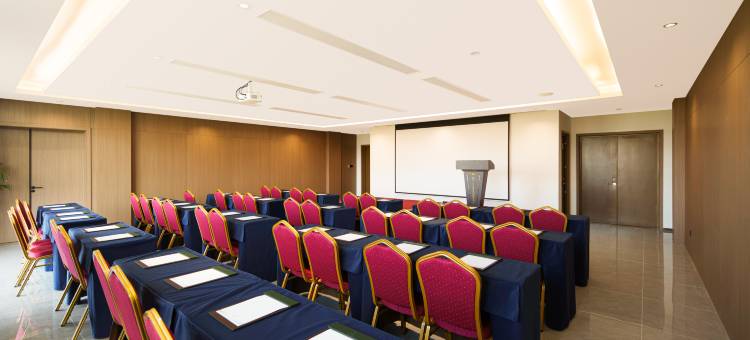 上文旅雷迪森颐墅酒店图片