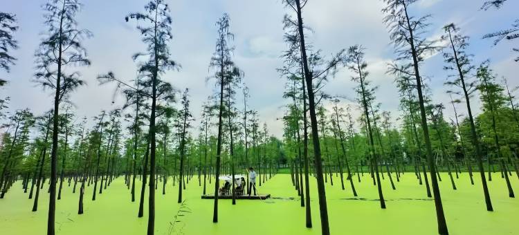 宜兴水墨涵田度假村图片