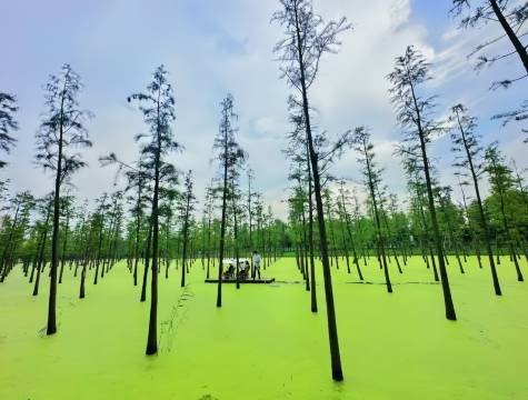 宜兴水墨涵田度假村图片