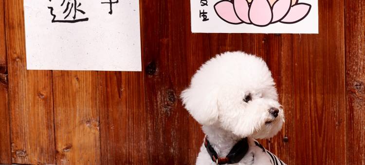 杭州梧鸣谷民宿(西湖灵隐店)图片