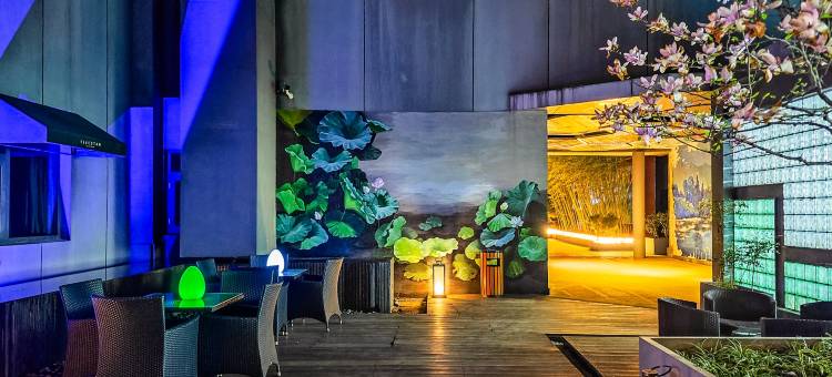 新泰五星假日酒店图片