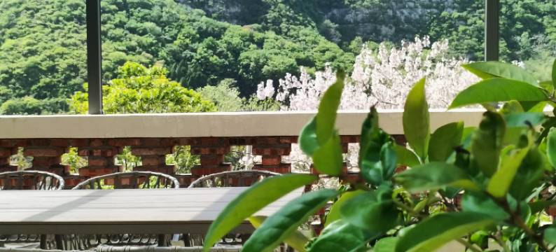 淄博诗意栖居民宿(洪山镇土峪村店)图片