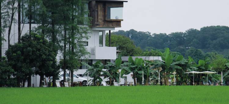 野小院(崖口店)图片