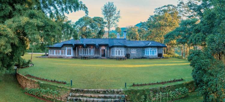 薰见小筑(The Lavender House by Reveal)图片