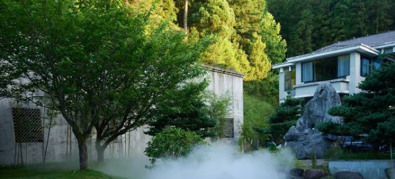 龙泉凤羽隐居芥子园图片