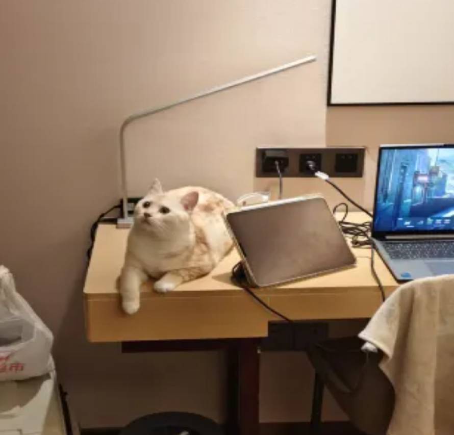 麗枫酒店(深圳国际会展中心店)图片