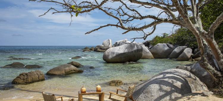 阿迪瓦娜杰利塔塞茹巴纳图纳酒店(Adiwana Jelita Sejuba Natuna)图片