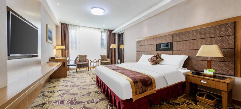 拉萨兰泽假日酒店图片