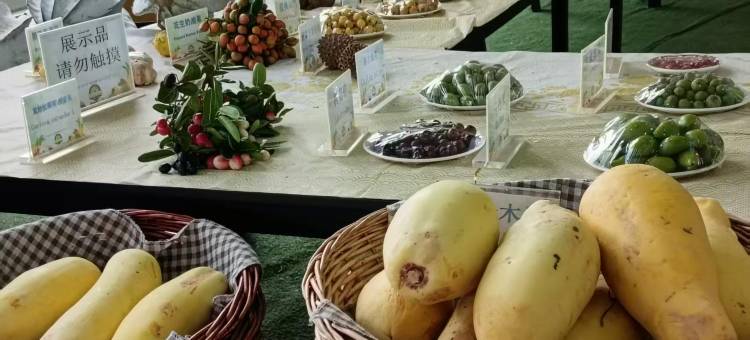 维也纳酒店(琼海大路店)图片