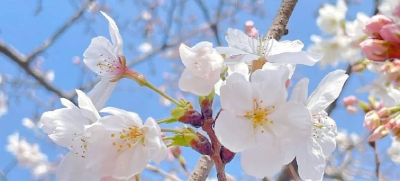 Elong R.YUN 艺龙瑞云酒店(武汉大智路地铁站江汉路步行街店)图片
