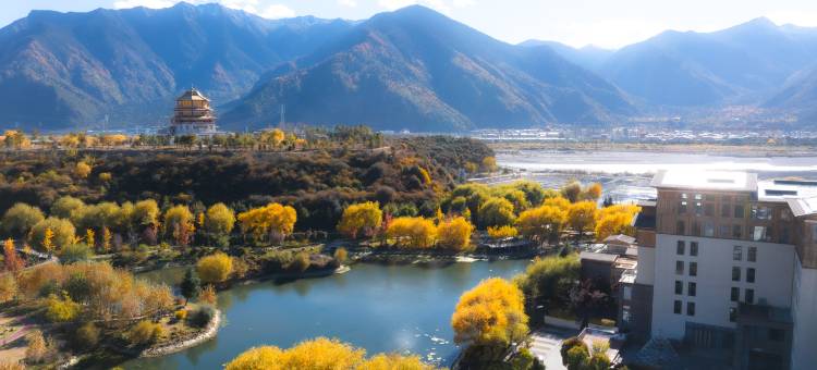 林芝岩庐雪山富氧别院(尼洋河店)图片