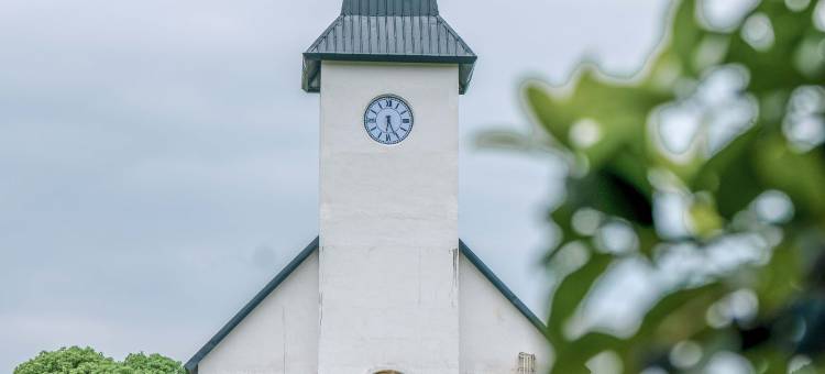 途途 city酒店(茶陵县中华茶祖文化产业园店)图片