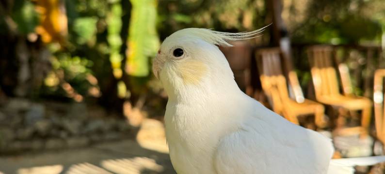 奢野·栖心谷度假山庄图片