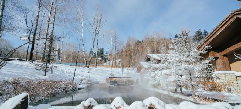 小洋楼美宿酒店(长白山万达国际度假区店)图片