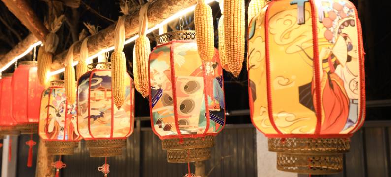 良辰故里主题民宿(长春龙嘉国际机场高铁站店)图片