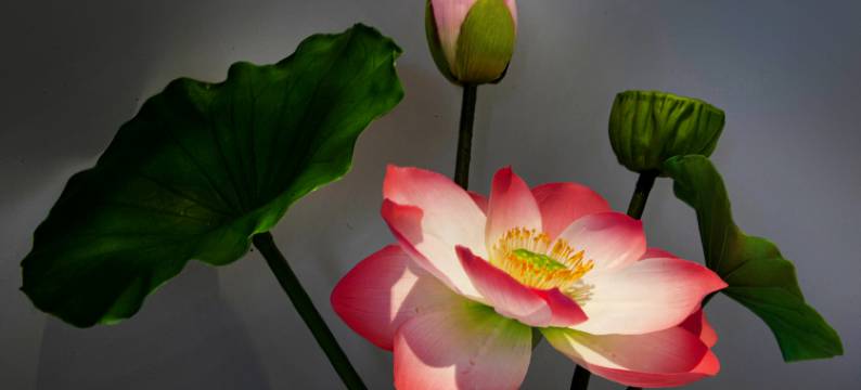 桥头三正半山酒店图片