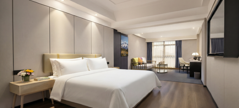 美丽豪酒店(西安大唐不夜城观赏点万象城店)图片