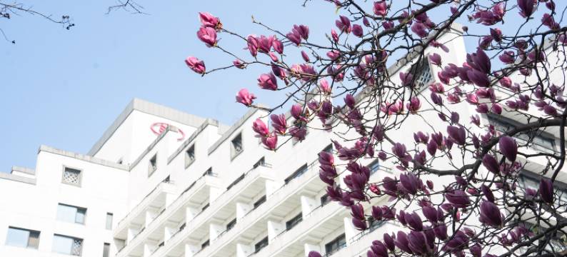 黄山昱城皇冠假日酒店图片