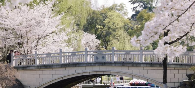 南京金茂威斯汀大酒店图片