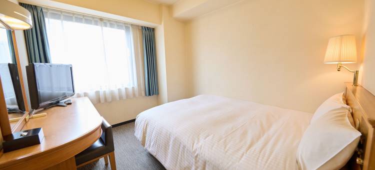 THE DAY HOTEL ShinYokohama图片