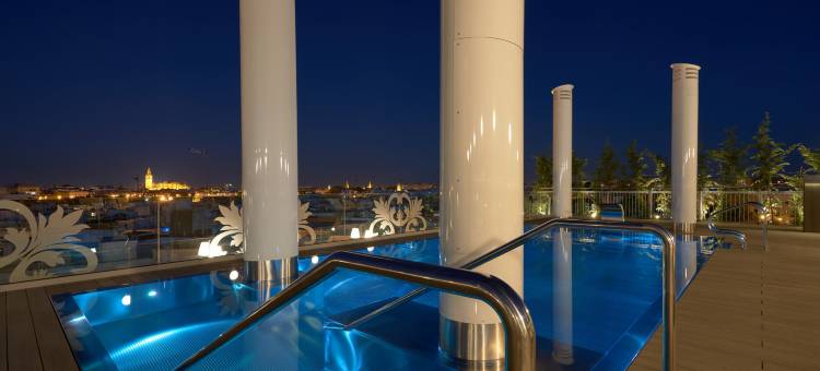 蒙特特里亚纳住宿(Monte Triana Sevilla)图片