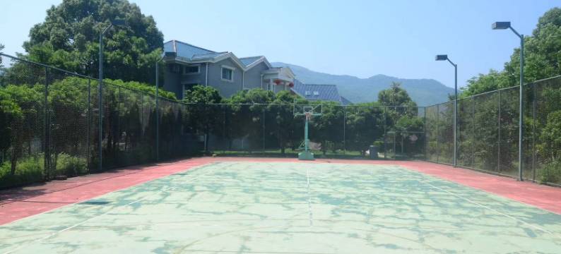 湖岛别墅大酒店图片