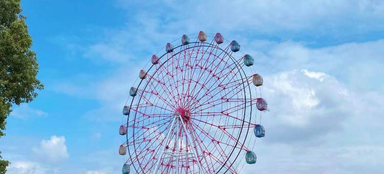 威尔顿大酒店(安陆店)图片